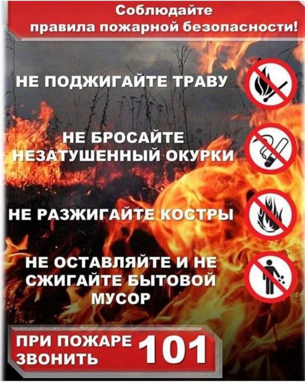 3_27.jpg